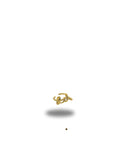 Gold Chunky ring