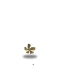 Gold Chunky ring