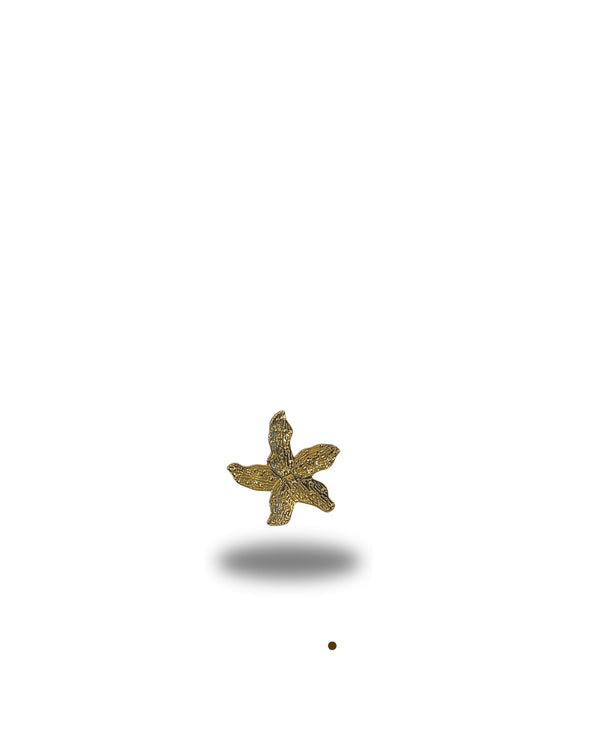 Gold Chunky ring